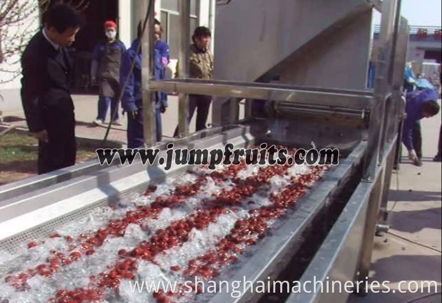 Small scale date pulp juice concentrate processing machine